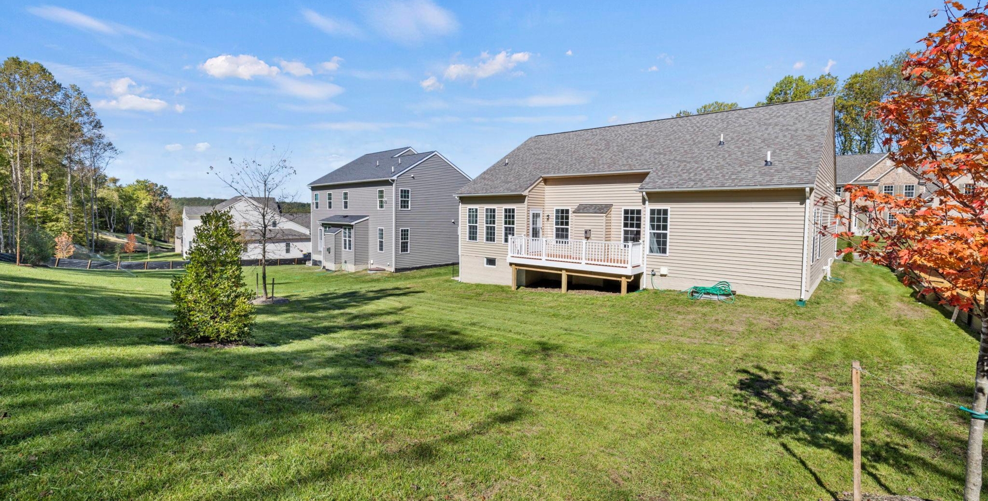 gallery image for 205A Capri